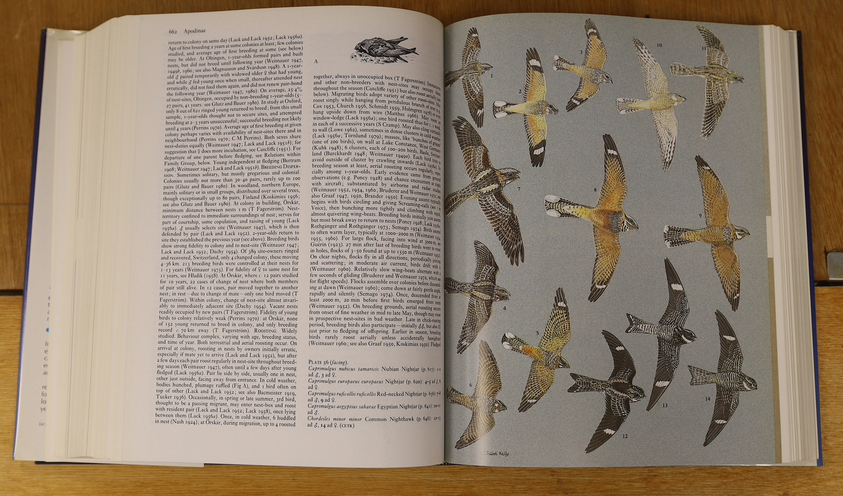 Cramp, Stanley, Perrins, C.M. & Others - Handbook of the Birds of Europe, the Middle East and North Africa; the birds of the Western Palearctic. 9 vols, many coloured plates and other illus., e/p. maps; publisher's gilt